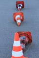 IMG_8510 _MS